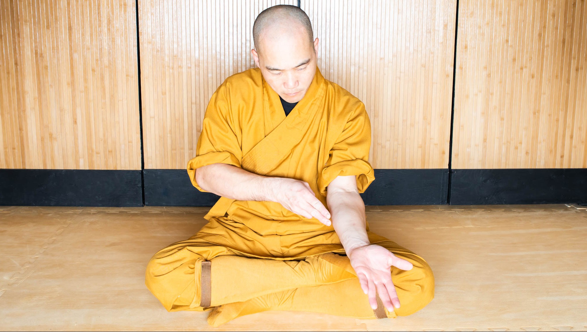 /assets/image/STQI-Master-Dao-Eliminating-Allergies-Workshop-162.jpg
